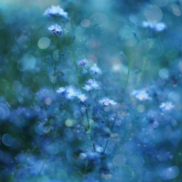 Blue Serenity  Print