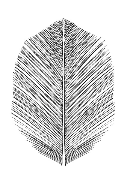 Feather Print