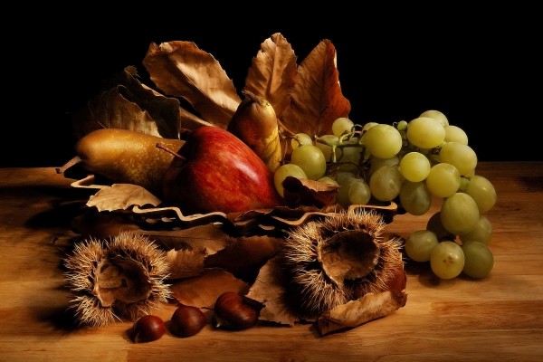 Natura Morta by 1x