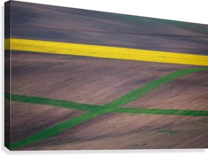 Painting the fields  Canvas Print