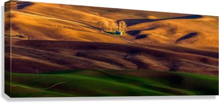 Untitled  Canvas Print