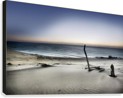 Reach for the sun Canvas Print