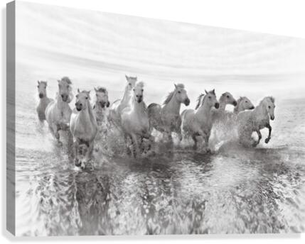 Illusion of power (13 horse power though) Canvas Print