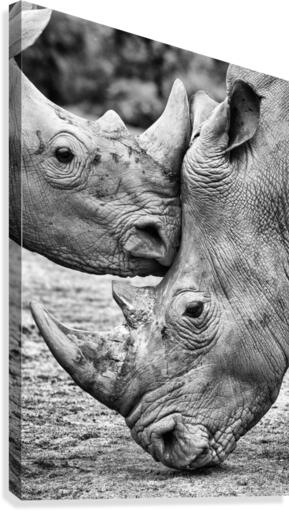 Face to face Canvas Print