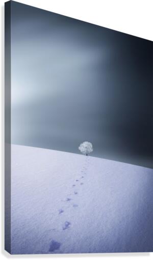 Winter  Canvas Print