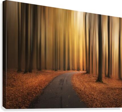 Path to unknown Canvas Print