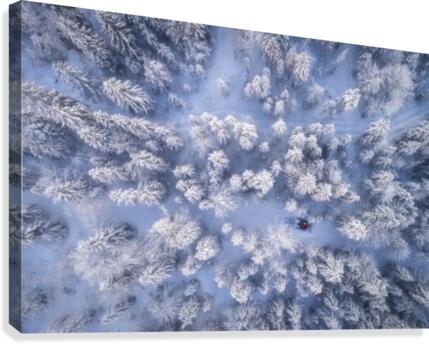 Getting the Job done Canvas Print