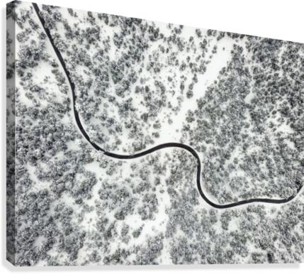 From above IX Canvas Print