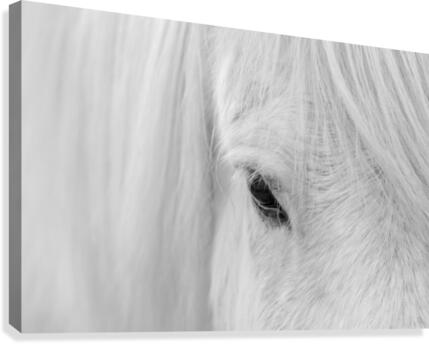 Whisper of Iceland  Canvas Print