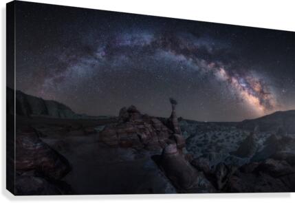 Toadstool Night Canvas Print