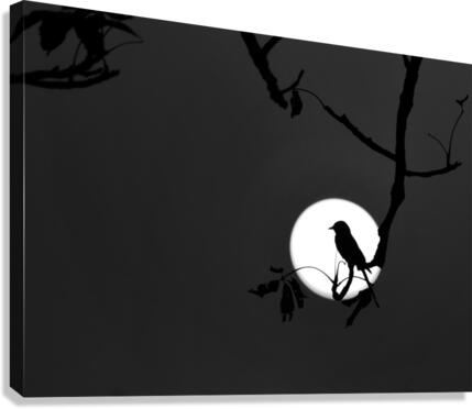 Nightingale of my dreams  Canvas Print
