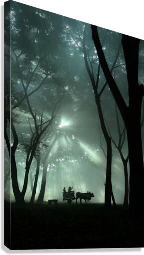 oxcart silhouette  Canvas Print