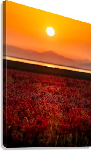 sunset Canvas Print