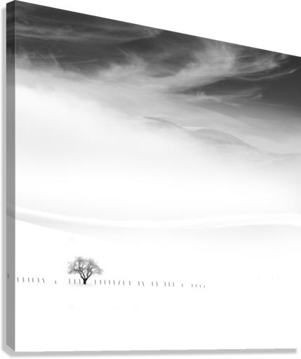 Poems of silence  Canvas Print