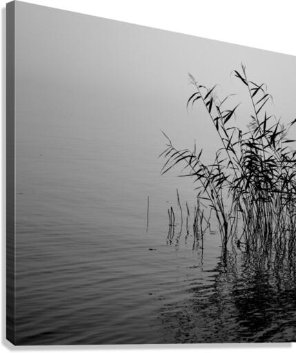 Mist over the lake 2021 Canvas Print