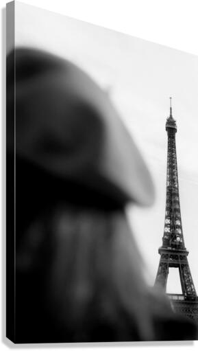 Eiffel Tower - Tour Eiffel  Canvas Print