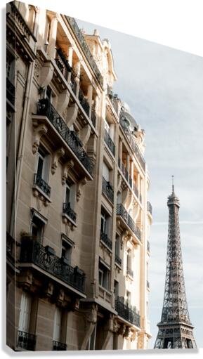 Eiffel Tower - Tour Eiffel  Canvas Print