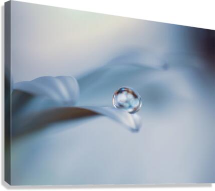 Non mi lasciare  Canvas Print
