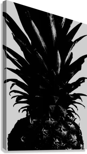 Pineapple bw  Canvas Print