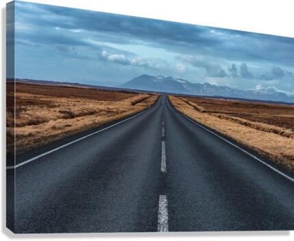 On the road  Canvas Print