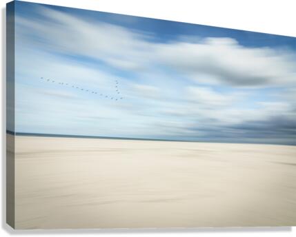 birds at the seaside Canvas Print