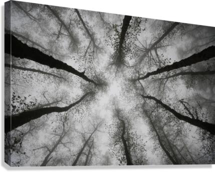 Crowd Canvas Print