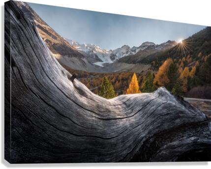 Autumn on the Glacier  Canvas Print