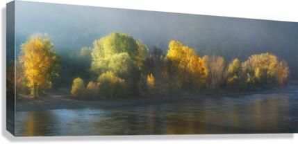 side of light  Canvas Print