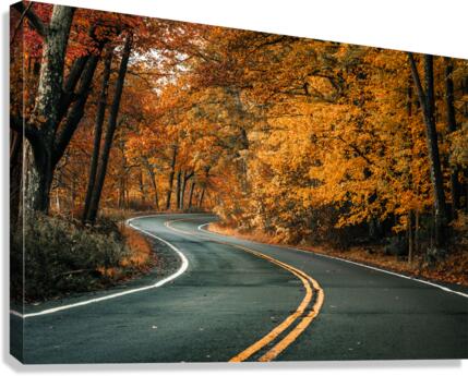 Road to fall Canvas Print