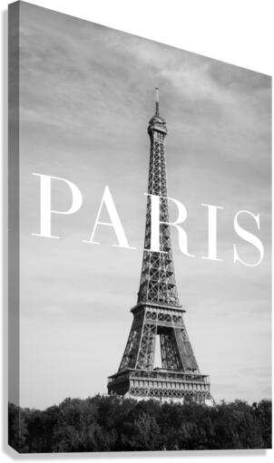 2365343 Canvas Print