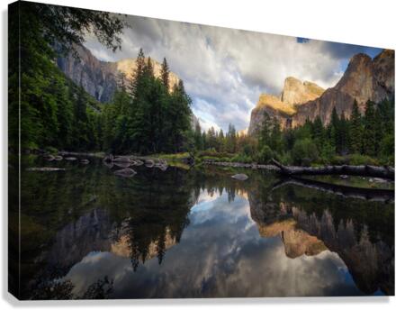 1242566 Canvas Print