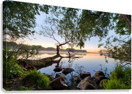 Lake view Canvas Print
