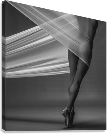 Balance Canvas Print