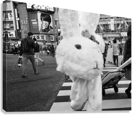 Untitled Canvas Print