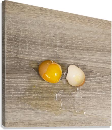  The egg broken Canvas Print