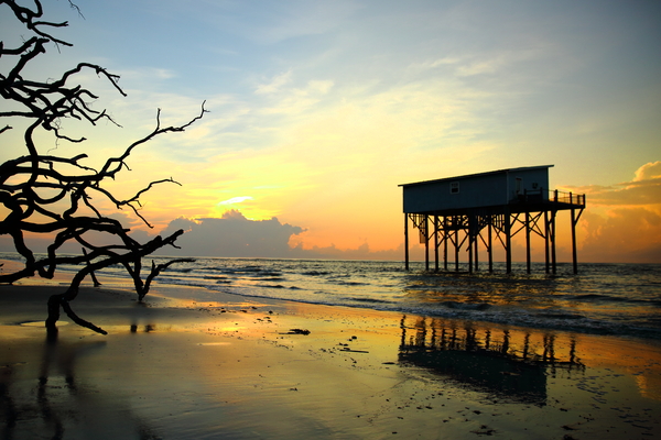 The Last Little Blue at Sunset Print