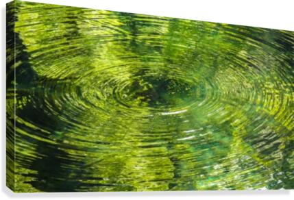 The Ripple Effect  Canvas Print