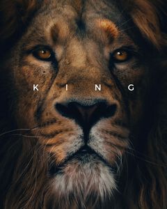 Lion King 
