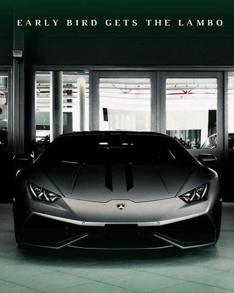 Early Bird Gets The Lambo Print