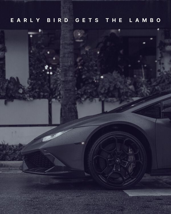 Early Bird Gets The Lambo Print