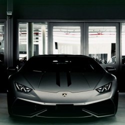 Early Bird Gets The Lambo