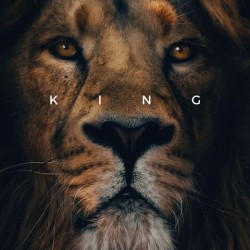 Lion King 