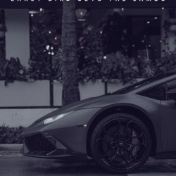 Early Bird Gets The Lambo