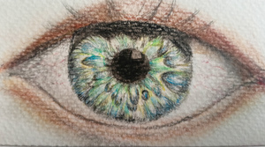 Eye