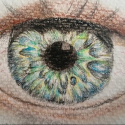 Eye