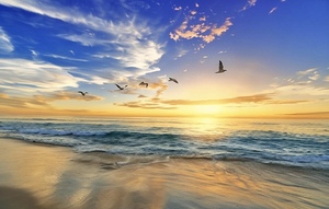 Eternal Horizon: A Sunset Dance Over the Sea