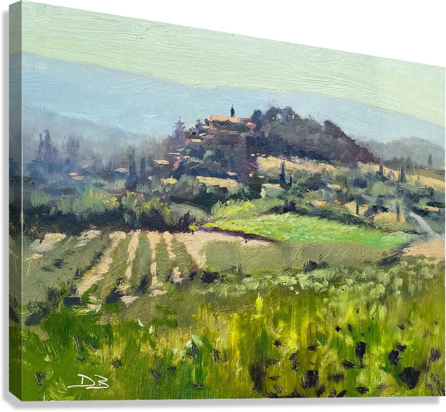 Provencal View Canvas Print