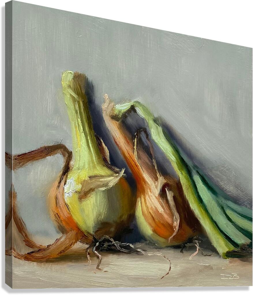Onions Canvas Print