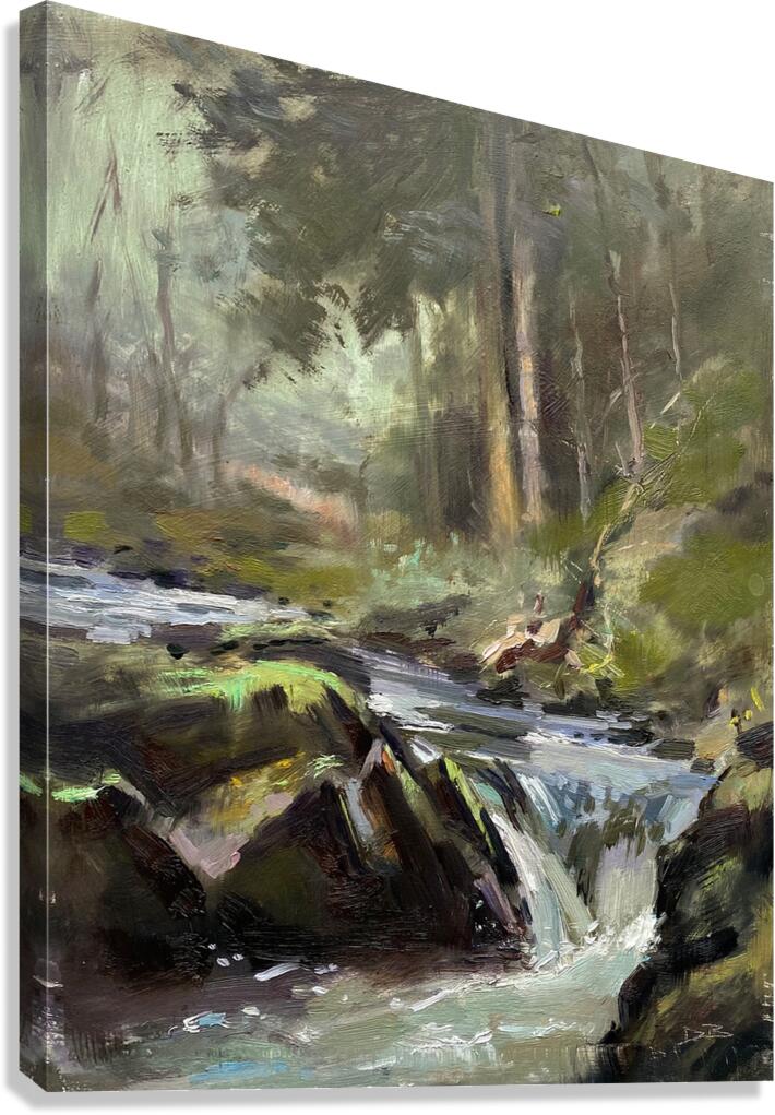 Watersmeet Canvas Print