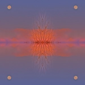 Strange reflections